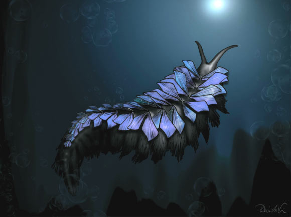 Reconstruction of Shaihuludia shurikeni from the Spence Shale of Utah. Image credit: Rhiannon LaVine.