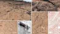 Polygonal ridges on Mars: (a) general view of bedrock surrounding the rover on sols 3,154 to 3,156 showing widespread polygonal ridges; (b) close-up showing ‘stepped’ exposure of polygons within large bedrock blocks; (c) view of bedrock with polygons and locations of ChemCam analysis on ridge (red rectangle) and APXS analysis on smooth host bedrock (dotted circle); (d) remote micro-image of cemented ridge with spots analyzed by ChemCam (reticles 1 to 5), highlighting details of nodular texture; (e, f) bedrock with polygonal pattern (e) and interpretative overlay (f) that shows prominent ridges (solid red lines), less certain ridges (dotted red lines) and cross-cutting later-stage Ca-sulfate-filled veins (white areas). Image credit: Rapin et al., doi: 10.1038/s41586-023-06220-3.