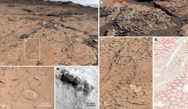 Polygonal ridges on Mars: (a) general view of bedrock surrounding the rover on sols 3,154 to 3,156 showing widespread polygonal ridges; (b) close-up showing ‘stepped’ exposure of polygons within large bedrock blocks; (c) view of bedrock with polygons and locations of ChemCam analysis on ridge (red rectangle) and APXS analysis on smooth host bedrock (dotted circle); (d) remote micro-image of cemented ridge with spots analyzed by ChemCam (reticles 1 to 5), highlighting details of nodular texture; (e, f) bedrock with polygonal pattern (e) and interpretative overlay (f) that shows prominent ridges (solid red lines), less certain ridges (dotted red lines) and cross-cutting later-stage Ca-sulfate-filled veins (white areas). Image credit: Rapin et al., doi: 10.1038/s41586-023-06220-3.