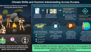 Ruan et al. demonstrate how glacial cycle variability synchronized hominin habitat overlap, Denisovan-Neanderthal interbreeding, and early human gene flow. Image credit: Axel Timmermann.