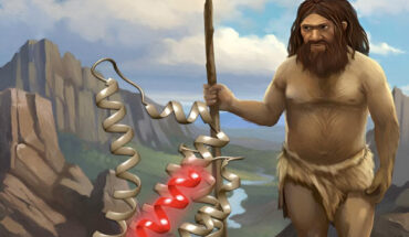 Archaic human peptides display in vitro and in vivo antimicrobial activities with low host toxicity. Image credit: Ella Marushchenko.