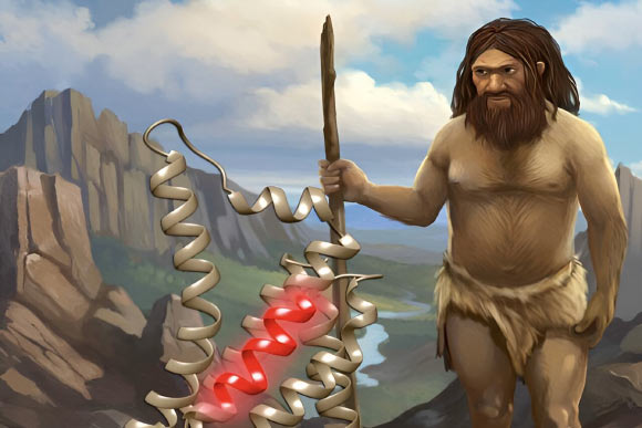 Archaic human peptides display in vitro and in vivo antimicrobial activities with low host toxicity. Image credit: Ella Marushchenko.