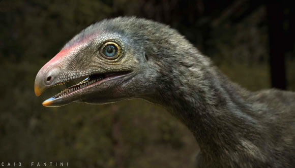 Life reconstruction of Venetoraptor gassenae. Image credit: Caio Fantini.