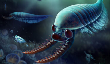 Life reconstruction of Kylinxia zhangi. Image credit: X. Wang.