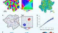 Detection of brain spirals based on moment-by-moment fMRI signals. Image credit: Xu et al., doi: 10.1038/s41562-023-01626-5.