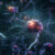 White matter degenerating microglia are a novel therapeutic target to potentially reduce the impact of white matter injury and myelin loss on the progression of cognitive impairment. Image credit: Miroslaw Miras.