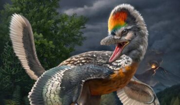 Life reconstruction of Fujianvenator prodigiosus. Image credit: Chuang Zhao.