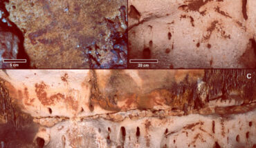 The Paleolithic cave art site of Cova Dones, Spain: (a) painted aurochs head; (b) horse head made with clay; (c) panel with several motifs painted with clay, including animals and signs (some partly covered by calcite layers). Image credit: Ruiz-Redondo et al., doi: 10.15184/aqy.2023.133.