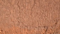 Stone Age depictions of human footprints and animal tracks in Doro! nawas mountains, Namibia. Image credit: Andreas Pastoors.