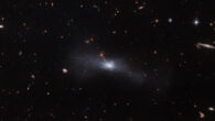 This Hubble image shows SDSS J103512.07+461412.2, a spiral galaxy some 23 million light-years away in the constellation of Ursa Major. The color image is made up of observations from Hubble’s Advanced Camera for Surveys (ACS) in the near-infrared and optical parts of the spectrum. It is based on data obtained through two filters. The color results from assigning different hues to each monochromatic image associated with an individual filter. Image credit: NASA / ESA / Hubble / R. Tully.