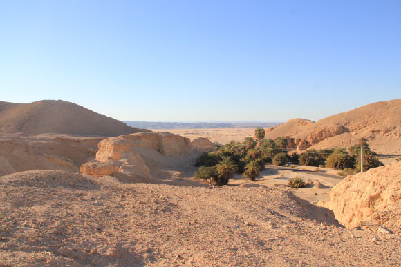 A general view of Wadi Gharandal riverine wetland, along the Jordan Rift Valley, showing palm trees concentrated at the center of the wadi near the active spring. Tilted sediments at the northern margin indicate the collapse of the dam, and the wetland sediments are deposited at both sides of the valley. Image credit: Mahmoud Abbas, Shantou University.