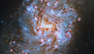 This Hubble image shows the barred spiral galaxy NGC 1087. Image credit: NASA / ESA / Hubble / R. Chandar, University of Toledo / J. Lee, Space Telescope Science Institute / Gladys Kober, NASA & Catholic University of America.