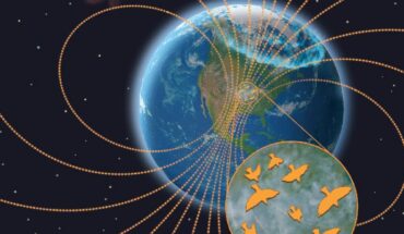 Space weather from the Sun, such as coronal mass ejections, disturbs Earth’s magnetic field, causing the aurorae and potentially decreasing the magnetic field’s reliability for migrating birds. Image credit: John Megahan.