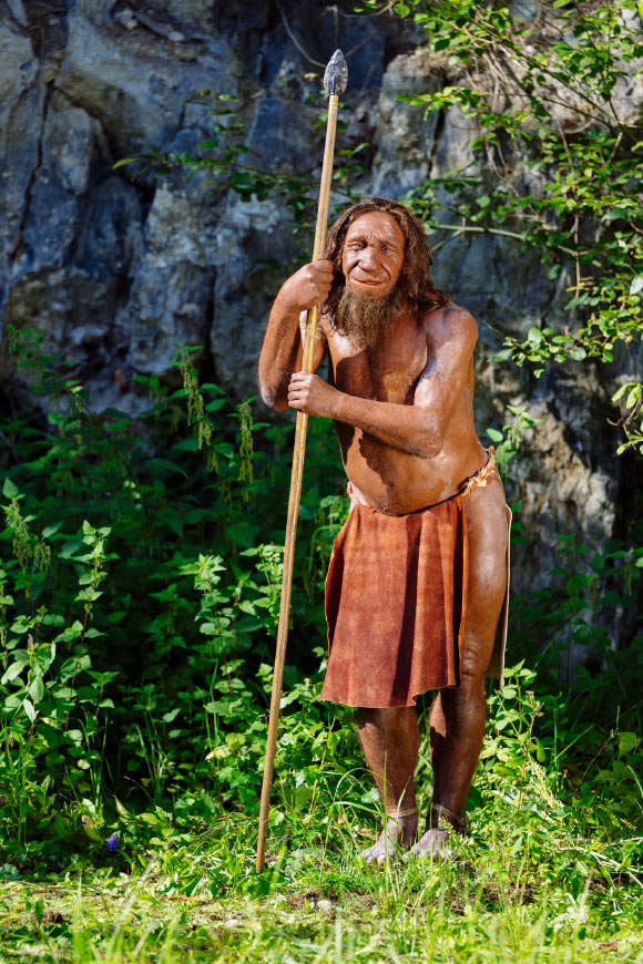 Analyzing high-density genotype data from 7,594 Latin Americans, Faux et al. characterized Neanderthal introgression in the SCN9A gene. Image credit: Holger Neumann / Neanderthal Museum.
