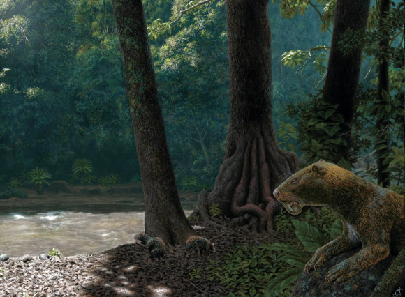 Reconstruction of Anachlysictis gracilis stalking some rodents (Neoreomys huilensis) in the La Venta area during Middle Miocene. Image credit: Juan Giraldo.