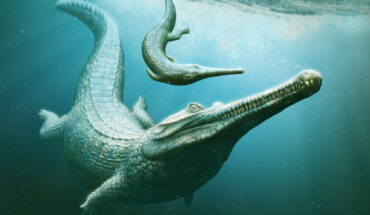 A Macrospondylus bollensis mother keeps a watchful eye on her young. Image credit: Henry Sutherland Sharpe.