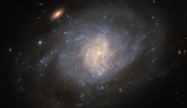 This Hubble image shows NGC 941, an intermediate spiral galaxy some 55 million light-years away in the constellation of Cetus. The color image is made up of observations from Hubble’s Advanced Camera for Surveys (ACS) in the near-infrared and optical parts of the spectrum. Two filters were used to sample various wavelengths. The color results from assigning different hues to each monochromatic image associated with an individual filter. Image credit: NASA / ESA / Hubble / C. Kilpatrick.