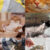 Lauren Scott & Brittany Florkiewicz show that cat facial signals correspond to different social functions, which have likely been influenced by domestication. Image credit: Sci.News / Makieni777 / Rise-a-mui / Alexas_Fotos / Dorothe / Vaclav Zavada / Artem Makarov / Daga Roszkowska / Birgit / Pasi Mammela.