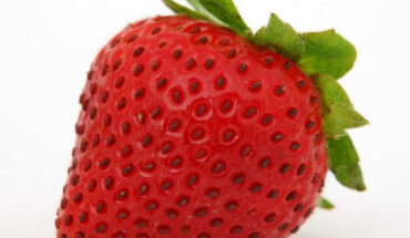 Krikorian et al. showed that daily supplementation with 13 g whole fruit strawberry powder reduced interference in memory and depressive symptoms in overweight middle-aged individuals. Image credit: Robert Owen-Wahl.