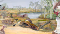 A reconstruction of a flock of Cryptogyps lacertosus (left side) and several individuals of Dynatoaetus pachyosteus (right side) feeding on a carcass of Diprotodon optatum in the Late Pleistocene Naracoorte landscape. Image credit: John Barrie.