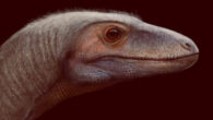 Life reconstruction of Amanasaurus nesbitti. Image credit: Matheus Fernandes.