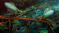 Ecological restoration of singing katydids from the Middle Jurassic Daohugou Konservat-Lagerstätte of China. Image credit: Nanjing Institute of Geology and Palaeontology and Center for Excellence in Life and Paleoenvironment, Chinese Academy of Sciences.