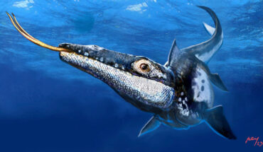 Yaguarasaurus regiomontanus. Image credit: Luis Rey / Museo del Desierto.