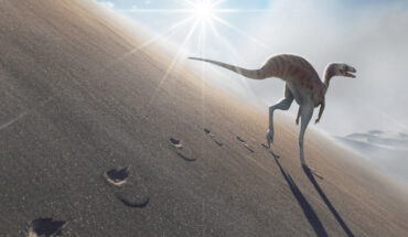 The trackmaker of Farlowichnus rapidus lived in what is now Brazil during the Early Cretaceous epoch, around 135 million years ago. Image credit: Guilherme Gehr / Leonardi et al., doi: 10.1016/j.cretres.2023.105720.