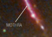 Mothra is best described as a binary system with two supergiant stars, a hot one with temperature T ≈ 14,000 K, and a cooler one with T ≈ 5,000 K. Image credit: NASA / ESA / CSA / STScI / Jose M. Diego, IFCA / Jordan C.J. D’Silva, UWA / Anton M. Koekemoer, STScI / Jake Summers, ASU / Rogier Windhorst, ASU / Haojing Yan, University of Missouri.