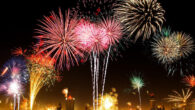 Hoekstra et al. analyzed the instantaneous flight response of birds across habitats and distances to the synchronized discharging of fireworks throughout the Netherlands on New Year’s Eve. Image credit: Nick.