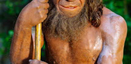 Velazquez-Arcelay et al. found that genetic material from Neanderthal ancestors may have contributed to the propensity of some people today to be early risers, the sort of people who are more comfortable getting up and going to bed earlier. Image credit: Holger Neumann / Neanderthal Museum.