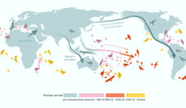 Human colonization and associated bird extinctions: human expansion across the planet is classified into four major waves; major human dispersal routes are indicated with arrows, and silhouettes show example fossil (pre-Holocene - 1500 CE) and observed (1500 CE - present) bird extinctions. Image credit: Cooke et al., doi: 10.1038/s41467-023-43445-2.