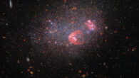 This Hubble image shows UGC 8091, a dwarf irregular galaxy some 7 million light-years away in the constellation of Virgo. The color image was made from separate exposures taken with Hubble’s Advanced Camera for Surveys (ACS) and Wide Field Camera 3 (WFC3). Image credit: NASA / ESA / Hubble / Yumi Choi, NSF’s NOIRLab / Karoline Gilbert, STScI / Julianne Dalcanton, Center for Computational Astrophysics & Flatiron Institute, University of Washington.