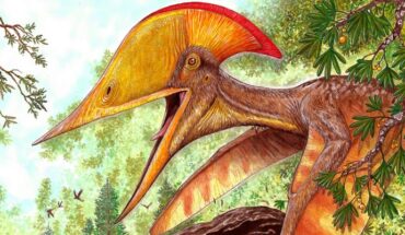 Life reconstruction of Meilifeilong youhao. Image credit: Maurilio Oliveira.