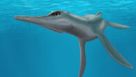 Life reconstruction of Unktaheela specta in its proposed habitat of sunlit waters just below the surface, with eyes shaded by supraorbital ledge. Image credit: Clark et al., doi: 10.1016/j.cretres.2023.105812.