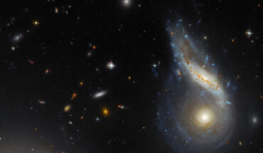 Two spiral galaxies, NGC 6040 and NGC 6039, are merging together at the right side of this Hubble image. NGC 6039 is seen face-on and is circular in shape. NGC 6040 seems to lie in front of the first one. In the lower-left corner, cut off by the frame, the elliptical galaxy NGC 6041 -- a central member of the galaxy cluster that Arp 122 resides in -- appears as light radiating from a point. The color image was made from separate exposures taken in the visible and infrared regions of the spectrum with Hubble’s Advanced Camera for Surveys (ACS) and the Dark Energy Camera, which is mounted on NSF’s Víctor M. Blanco 4-m telescope at Cerro Tololo Inter-American Observatory in Chile. Four filters were used to sample various wavelengths. The color results from assigning different hues to each monochromatic image associated with an individual filter. Image credit: NASA / ESA / Hubble / J. Dalcanton / Dark Energy Survey / DOE / FNAL / DECam / CTIO / NOIRLab / NSF / AURA / L. Shatz.