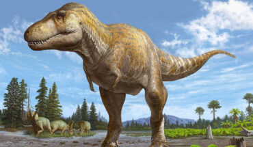 Life reconstruction of Tyrannosaurus mcraeensis. Image credit: Sergey Krasovskiy.