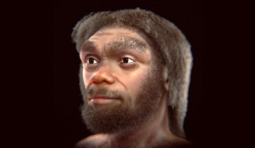 The portrait of Homo longi. Image credit: Cicero Moraes, doi: 10.6084/m9.figshare.24648591.