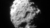 Comet 81P/Wild 2. Image credit: NASA.