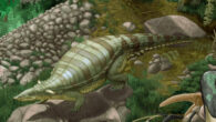 Life restoration of the aetosaur Typothorax coccinarum. Image credit: Smokeybjb.