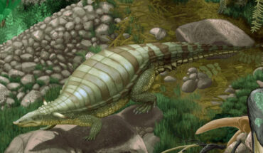 Life restoration of the aetosaur Typothorax coccinarum. Image credit: Smokeybjb.