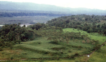 Rostain et al. discovered a dense system of pre-Hispanic urban centers, characterized by constructed platforms and plazas and connected by large, straight roads. Image credit: Rostain et al., doi: 10.1126/science.adi6317.