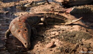 An artist’s impression of Kwatisuchus rosai. Image credit: Márcio Castro.