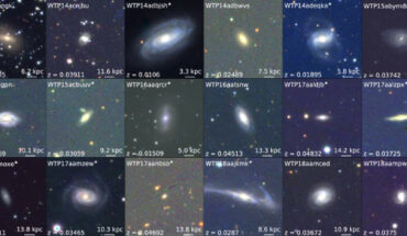 Masterson et al. identified 18 new tidal disruption events -- extreme instances when a nearby star is tidally drawn into a black hole and ripped to shreds. Image credit: Masterson et al., doi: 10.3847/1538-4357/ad18bb.