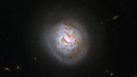 This Hubble image shows the face-on spiral galaxy ESO 420-13. Image credit: NASA / ESA / A. Evans, University of Virginia / Gladys Kober, NASA & Catholic University of America.