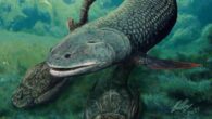 Life reconstruction of Harajicadectes zhumini. Image credit: Brian Choo, Flinders University.