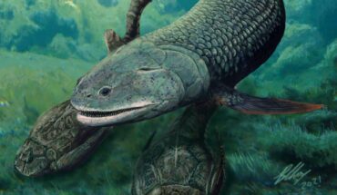 Life reconstruction of Harajicadectes zhumini. Image credit: Brian Choo, Flinders University.