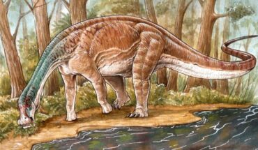 Life reconstruction of Inawentu oslatus. Image credit: Gabriel Lio.
