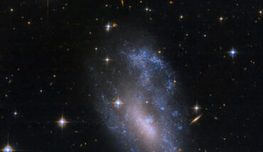 This Hubble image shows UGC 3912, a small spiral galaxy located 63 million light-years away in the constellation of Canis Minor. Image credit: NASA / ESA / C. Kilpatrick, Northwestern University / Gladys Kober, NASA & Catholic University of America.