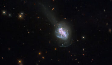 This Hubble image shows ESO 185-IG013, a luminous blue compact galaxy some 260 million light-years away in the constellation of Telescopium. Image credit: NASA / ESA / R. Chandar, University of Toledo / Gladys Kober, NASA & Catholic University of America.